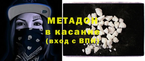 молекула духа Богданович