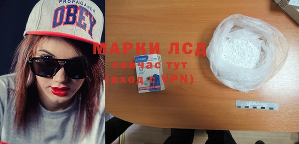 молекула духа Богданович