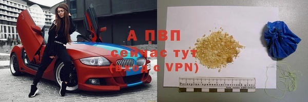 круглые Белокуриха