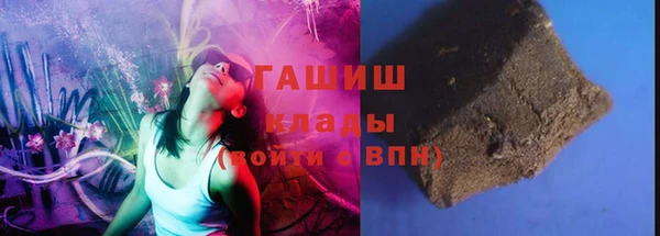 молекула духа Богданович