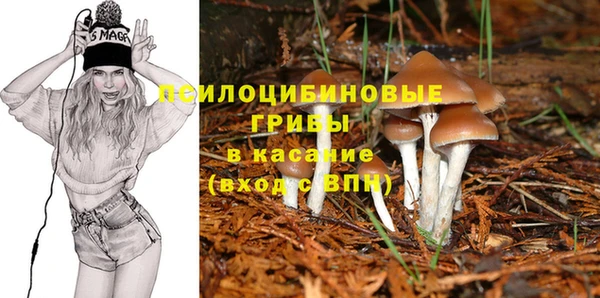 ешки Белоозёрский