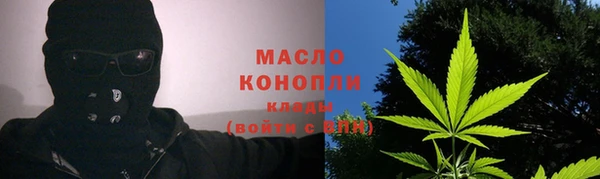молекула духа Богданович