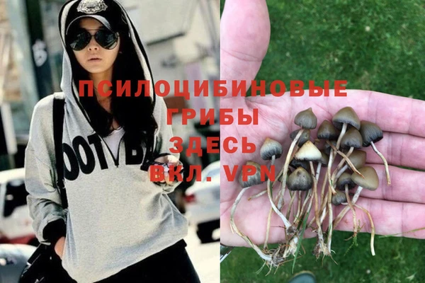 ешки Белоозёрский