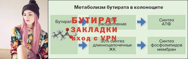 молекула духа Богданович