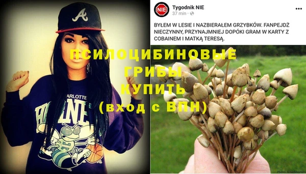 мдпв Елабуга